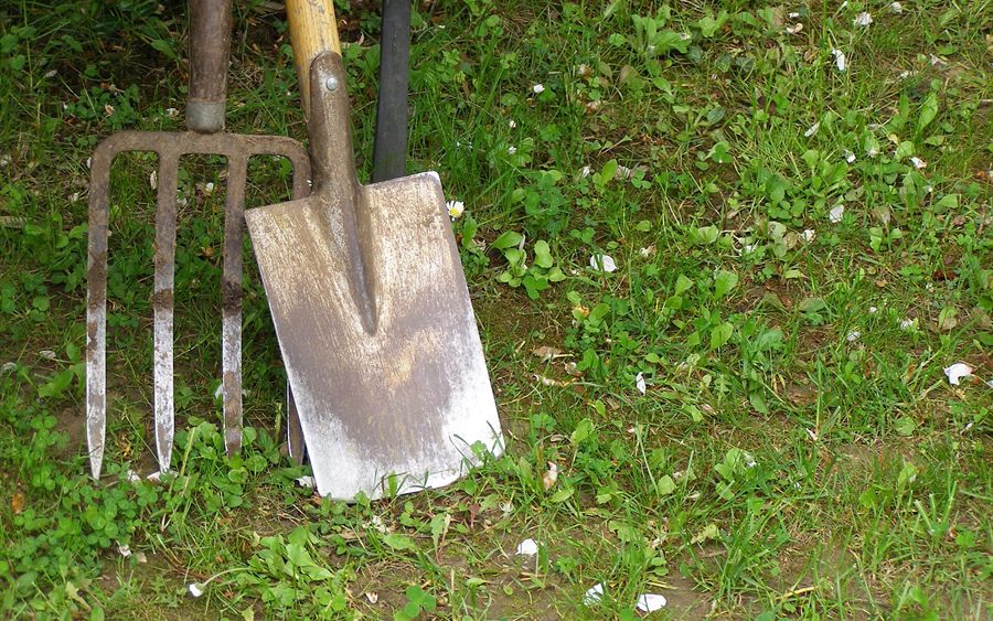 Digging spade, ash handle